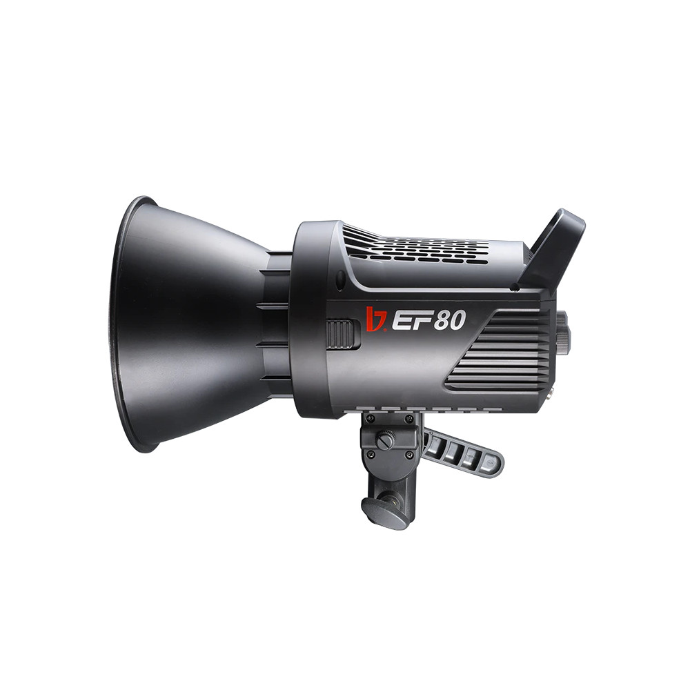 Jinbei EF-80 portable LED video light (with reflector)