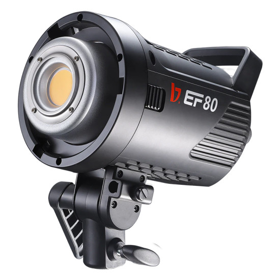 Jinbei EF-80 portable LED video light (with reflector)