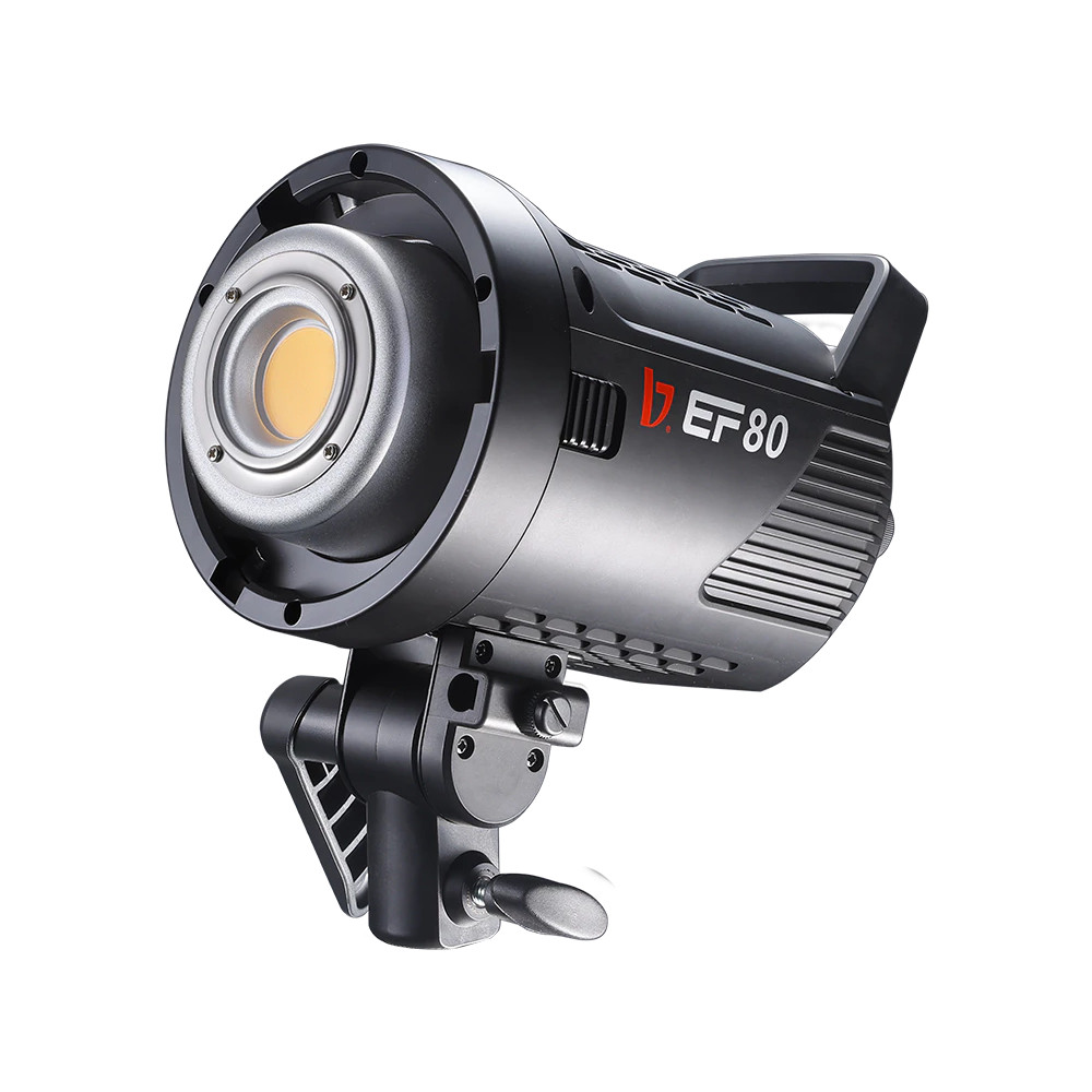 Jinbei EF-80 portable LED video light (with reflector)