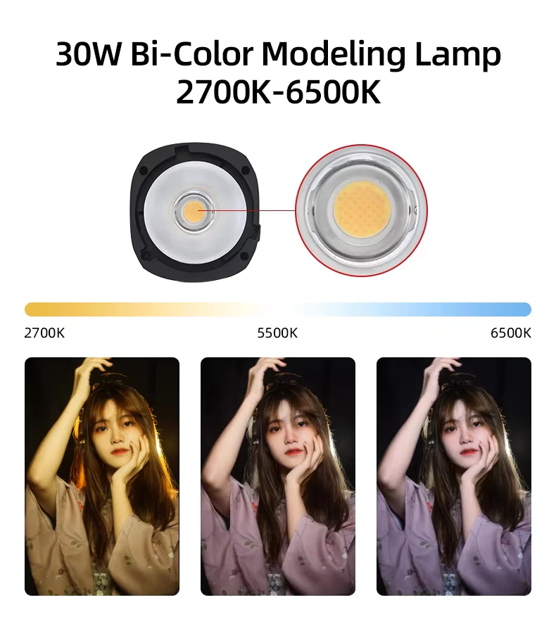 30W bi-color LED modeling lamp